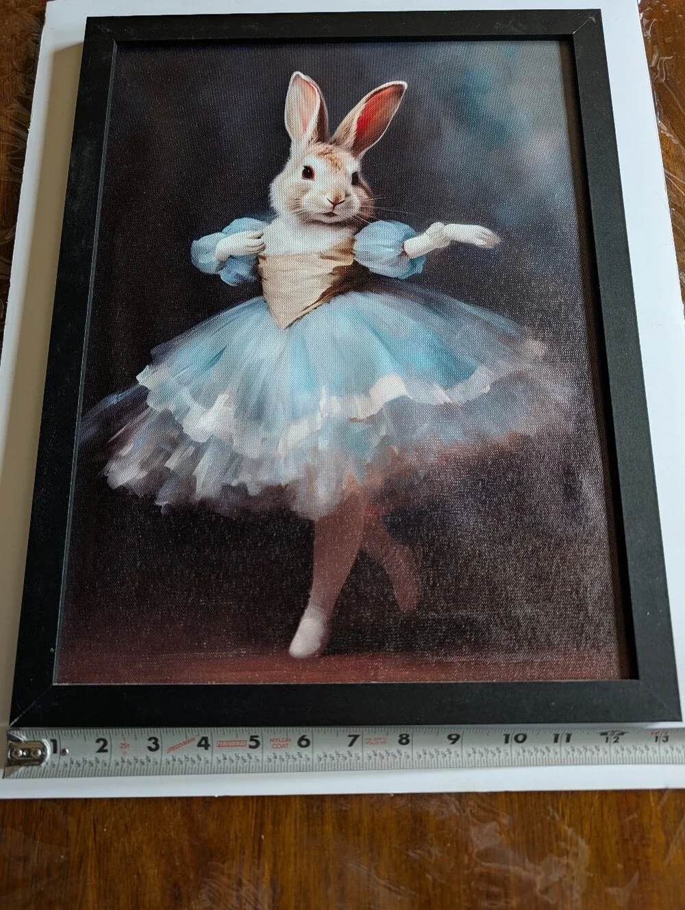 Bunny Ballerina Framed Wall Art